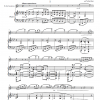 Sonata nº1 para clarinete (o viola) y piano op. 120, I. Allegro appassionato (arr. saxofón alto)