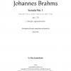 Sonata nº1 para clarinete (o viola) y piano op. 120, I. Allegro appassionato (arr. saxofón alto)